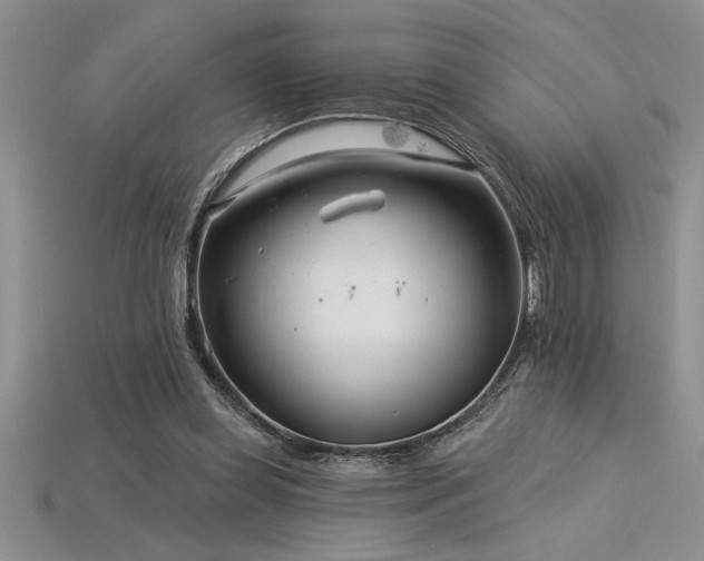 X0000115830349200911131510