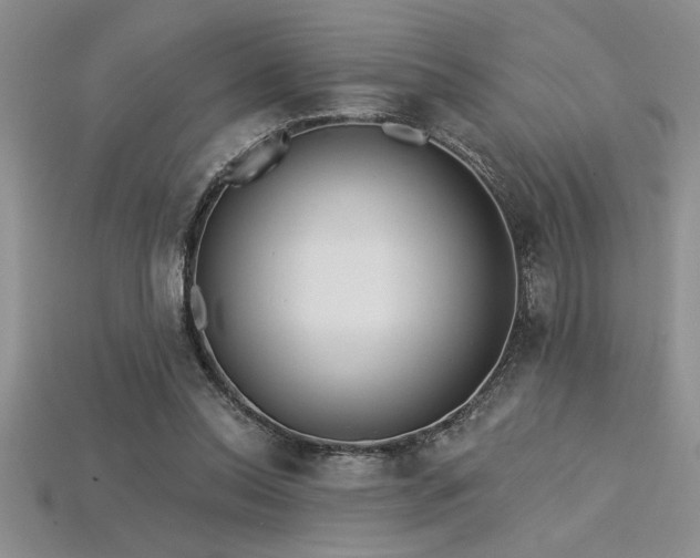 X0000115830350200911131510