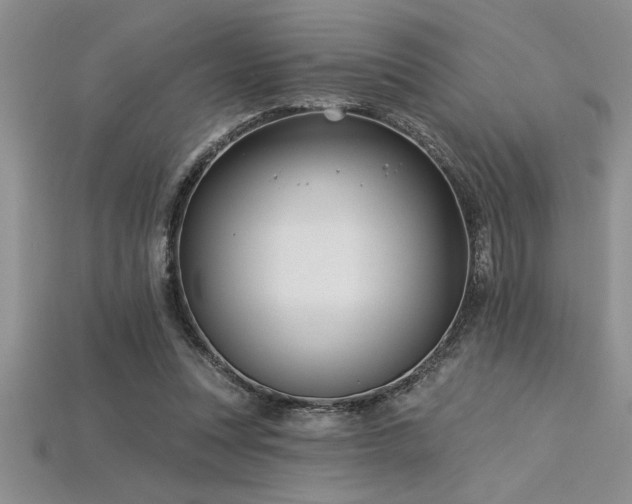 X0000115830351200911131510