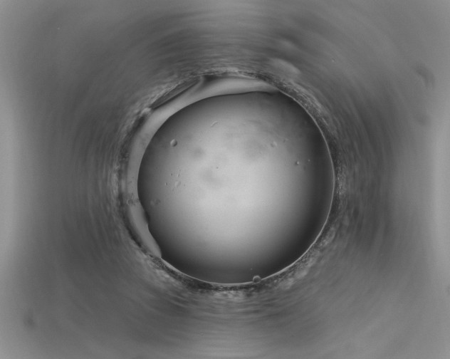 X0000115830353200911131510