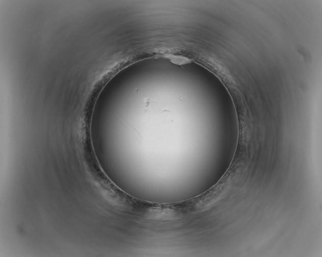 X0000115830354200911131510