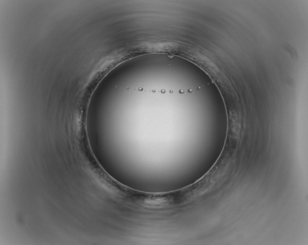 X0000115830357200911131510