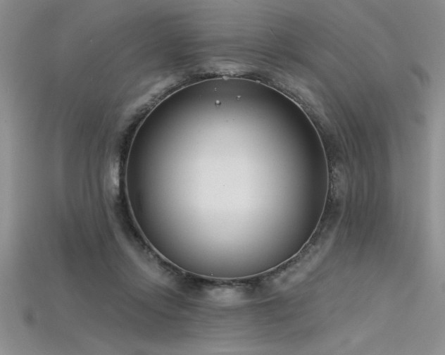 X0000115830358200911131510