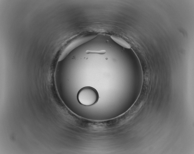 X0000115830359200911131510