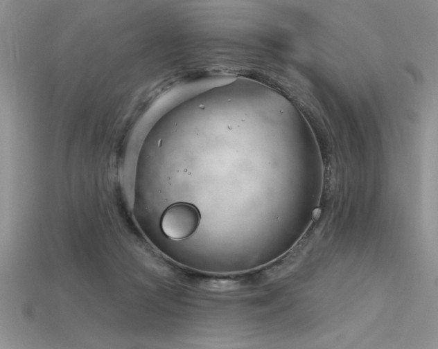 X0000115830361200911131510