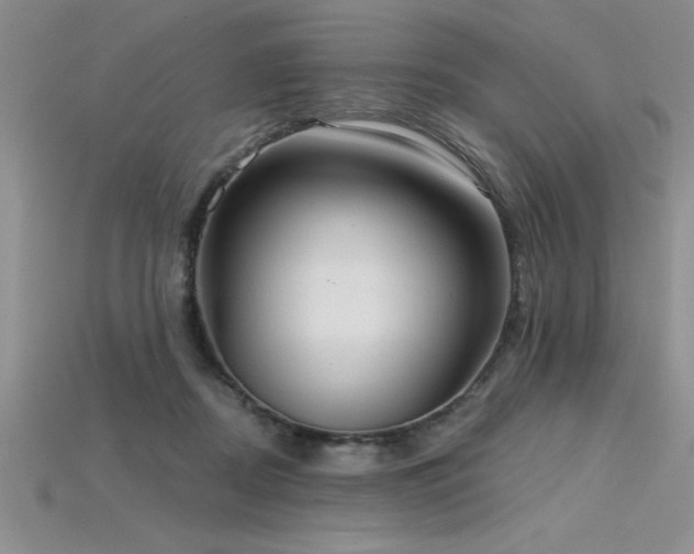 X0000115830362200911131510