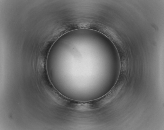 X0000115830363200911131510