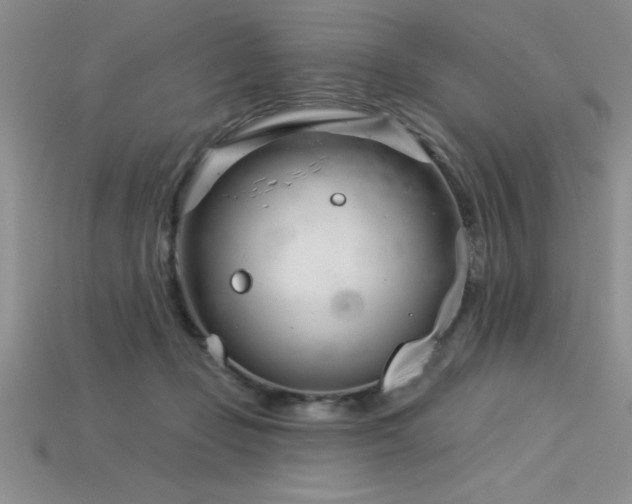 X0000115830365200911131510