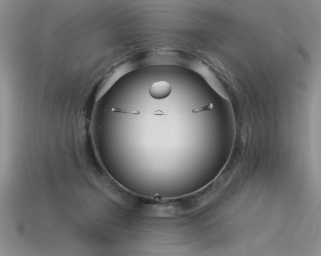 X0000115830366200911131510