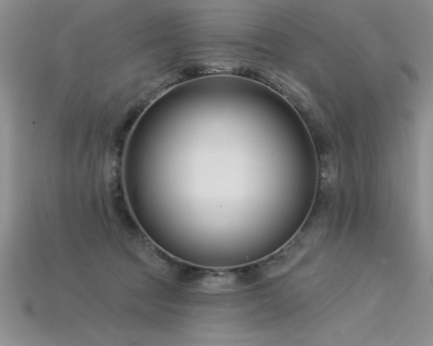 X0000115830369200911131510