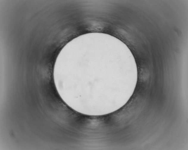 X0000115830370200911131510