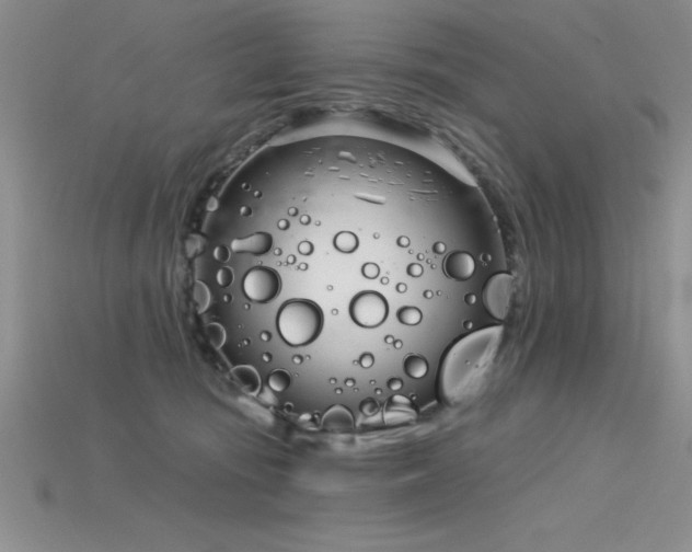 X0000115830371200911131510