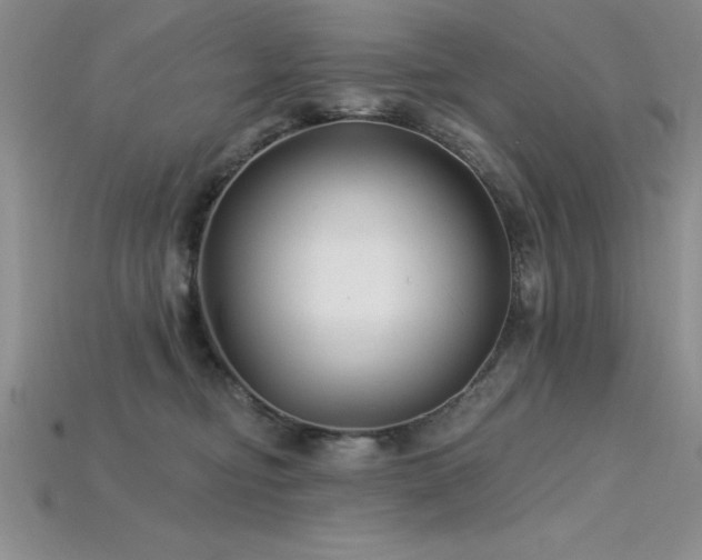 X0000115830374200911131510