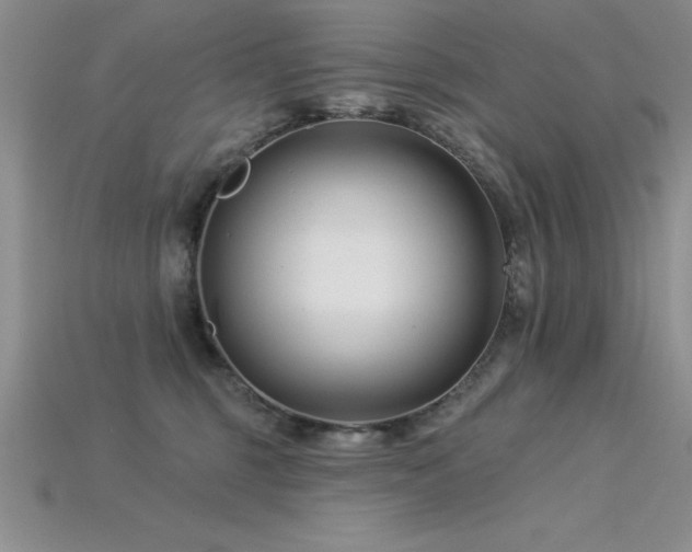 X0000115830375200911131510