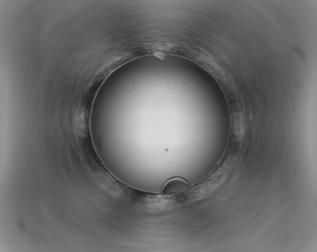 X0000115830378200911131510