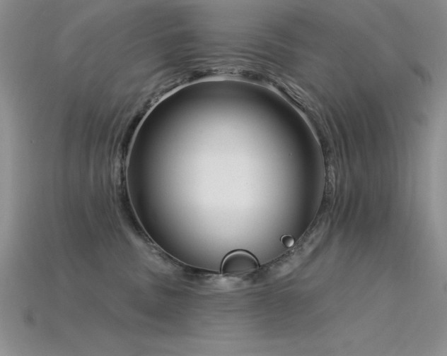 X0000115830379200911131510