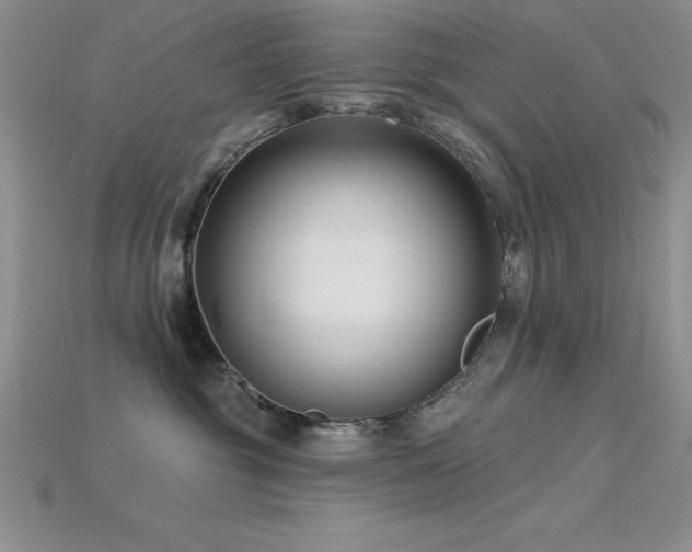 X0000115830381200911131510