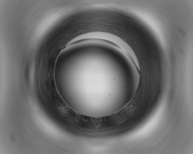 X0000115830382200911131510