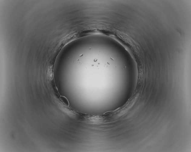 X0000115830383200911131510