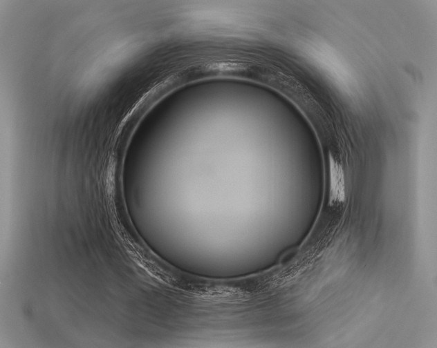 X0000115830387200911131510