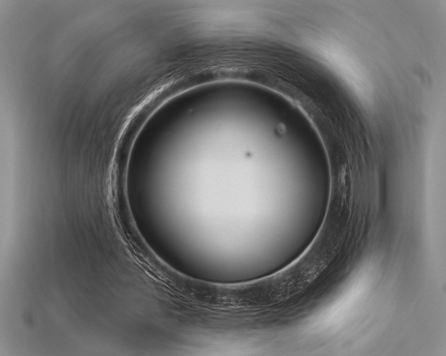 X0000115830388200911131510