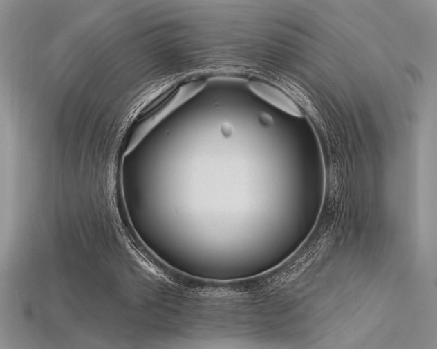 X0000115830389200911131510