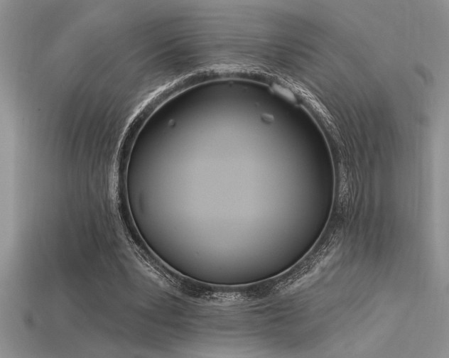 X0000115830391200911131510