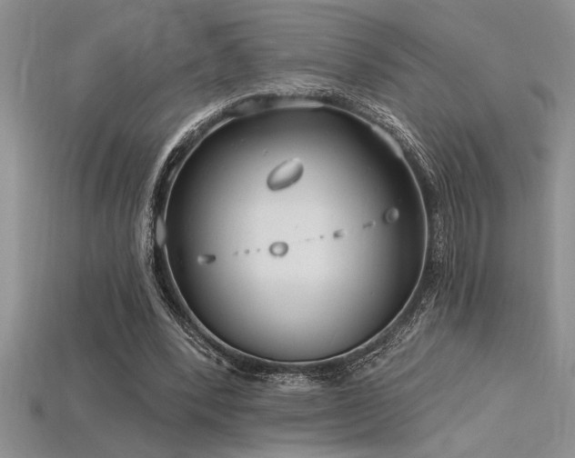 X0000115830392200911131510