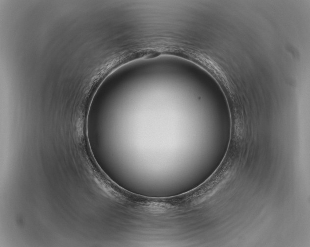 X0000115830393200911131510