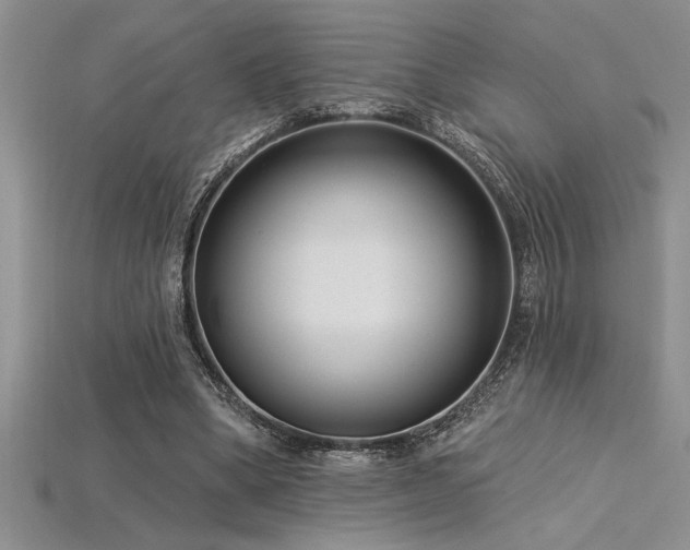 X0000115830394200911131510