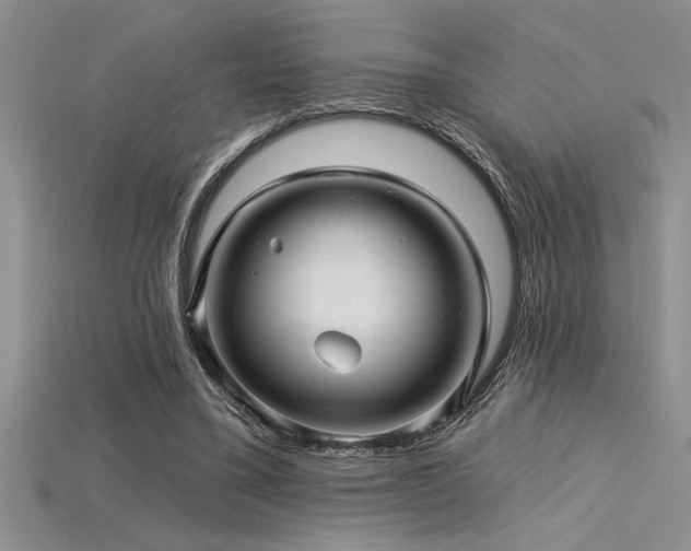 X0000115830395200911131510