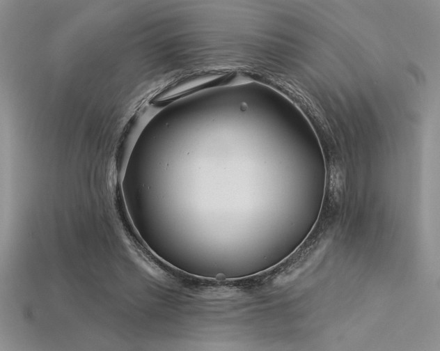 X0000115830397200911131510