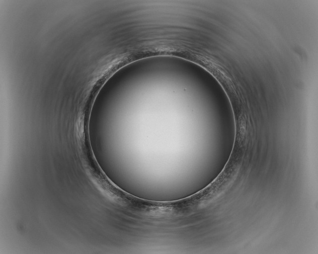 X0000115830398200911131510