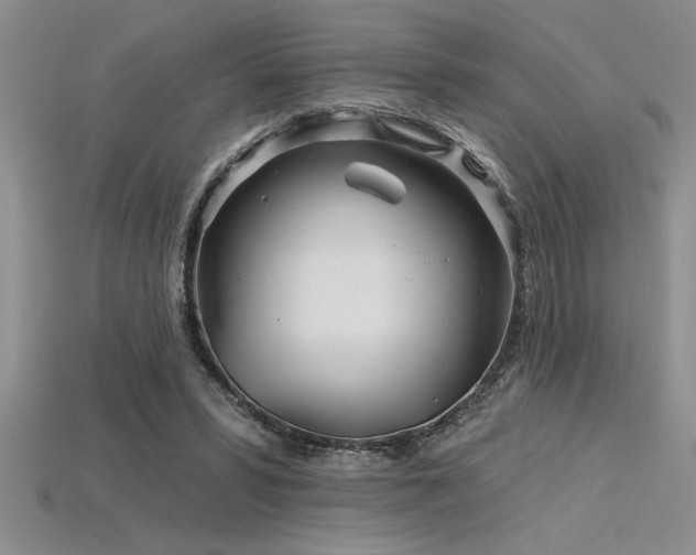 X0000115830399200911131510