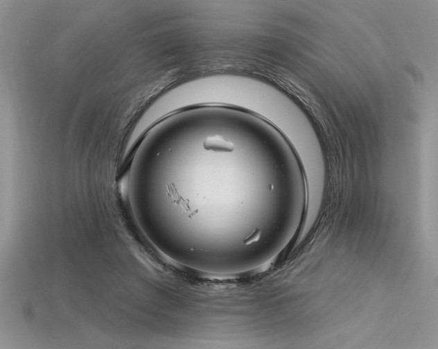 X0000115830401200911131510