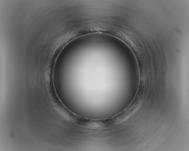 X0000115830402200911131510