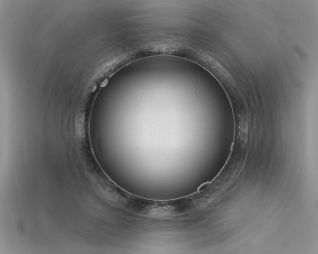 X0000115830403200911131510