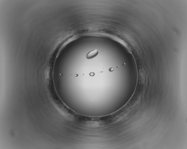 X0000115830404200911131510