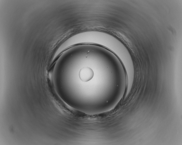 X0000115830405200911131509