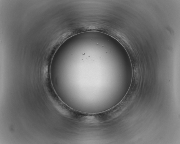 X0000115830406200911131509