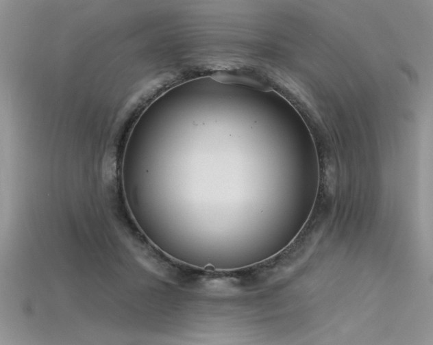 X0000115830407200911131509