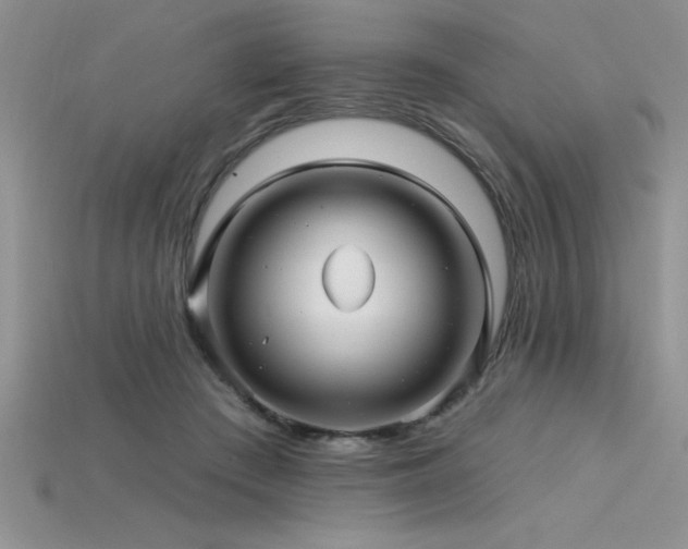 X0000115830409200911131509