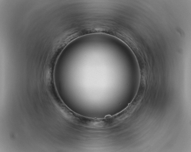 X0000115830410200911131509