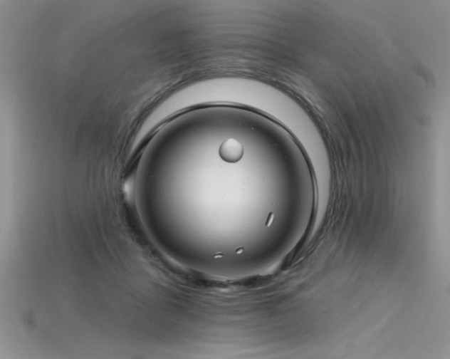 X0000115830411200911131509