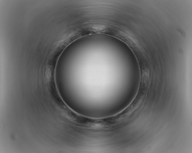 X0000115830412200911131509