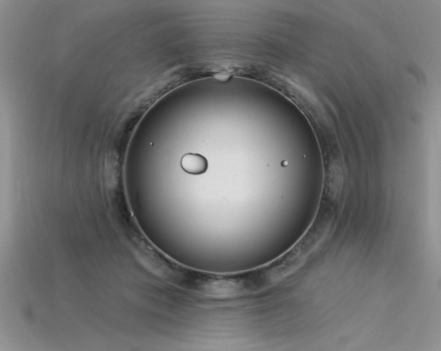 X0000115830413200911131509