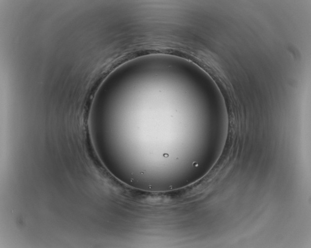 X0000115830415200911131509