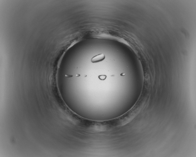 X0000115830416200911131509