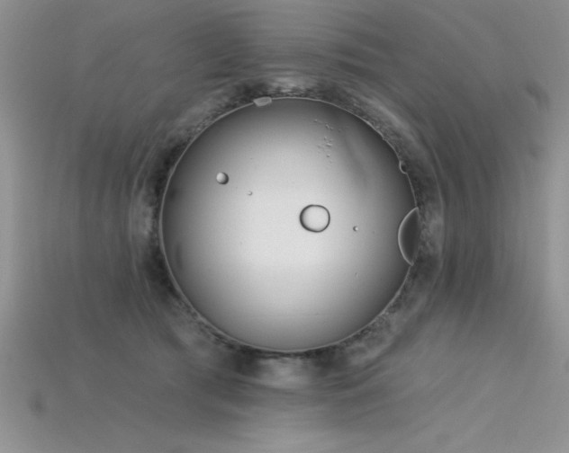 X0000115830417200911131509