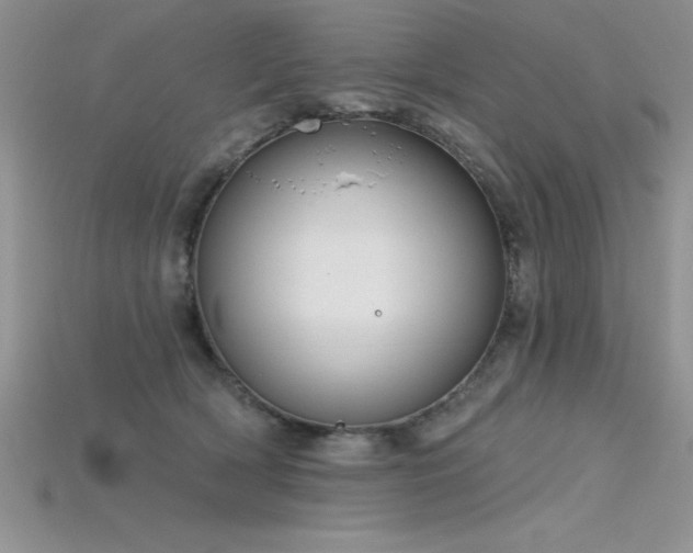 X0000115830418200911131509